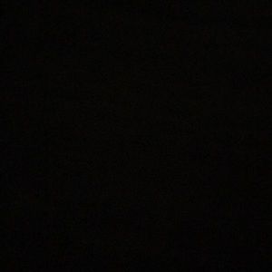 Meet your Posher, Kylee